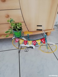 fotografie-6